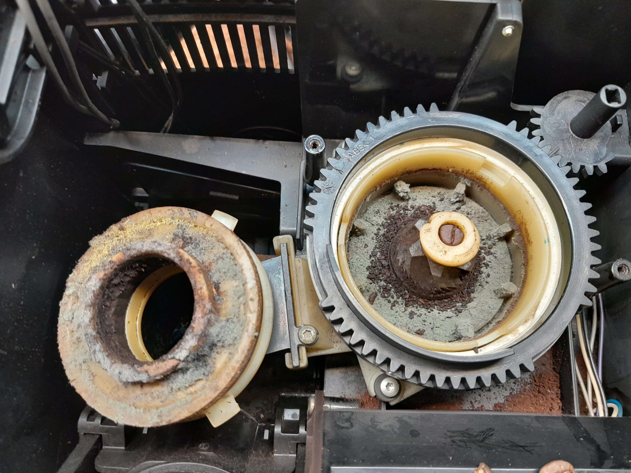 Młynek do kawy pokryty pleśnią w wyniku nieodpowiedniego czyszczenia