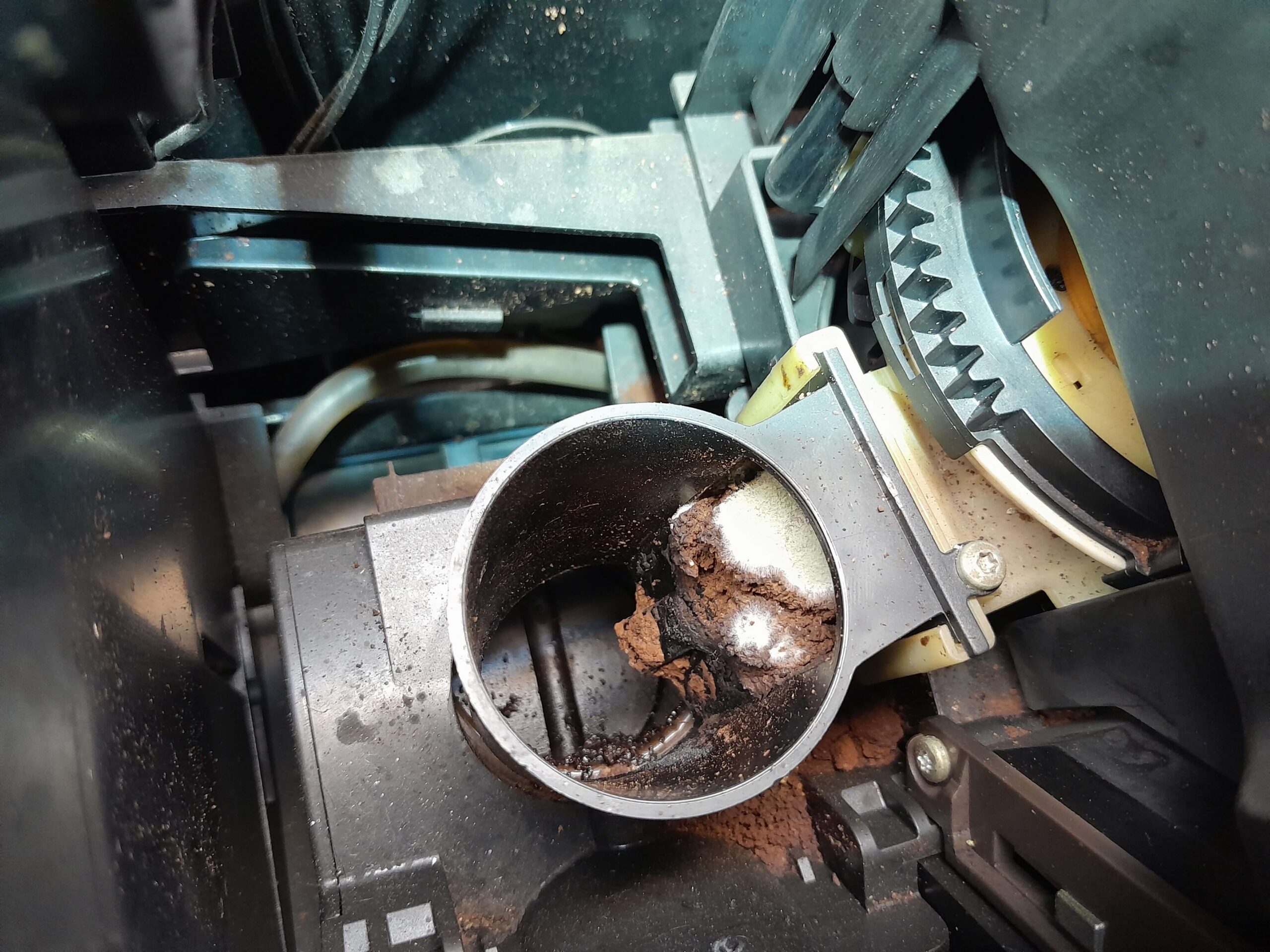 Młynek do kawy pokryty pleśnią w wyniku nieodpowiedniego czyszczenia